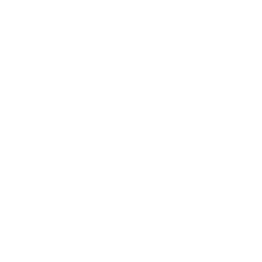Accelerated Time to Value